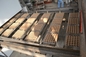 Huevo rotatorio Tray Making Machine del papel de pulpa de la máquina de Tray Machine Waste Paper Recycling del huevo