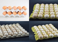Intercambio del tipo huevo Tray Production Line, máquina de moldear 20kw-80kw de la celulosa