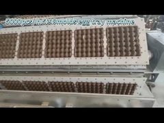 Huevo Tray Production Line