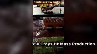 Producción en masa de la máquina 3000pcs de la bandeja del huevo por hora