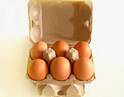 Populares modificados para requisitos particulares 6 agujeros egg la cadena de producción de la bandeja del huevo del cartón máquina del cartón de huevos