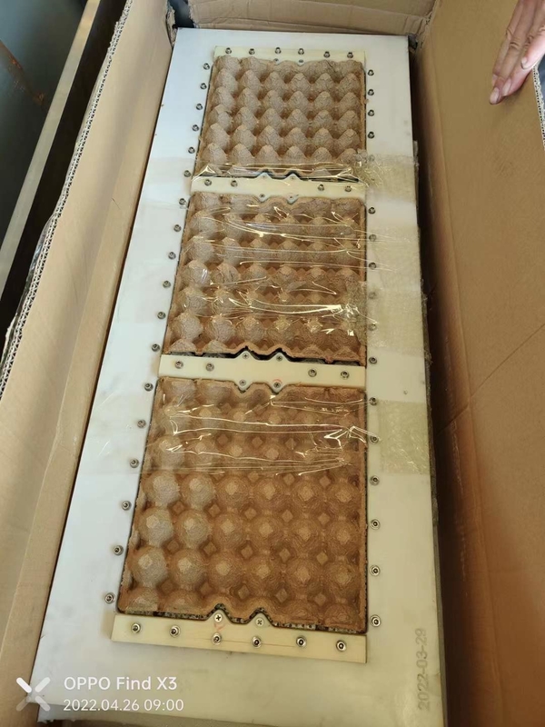 Línea de producción de cartón de huevo de gran capacidad totalmente automática 3*4