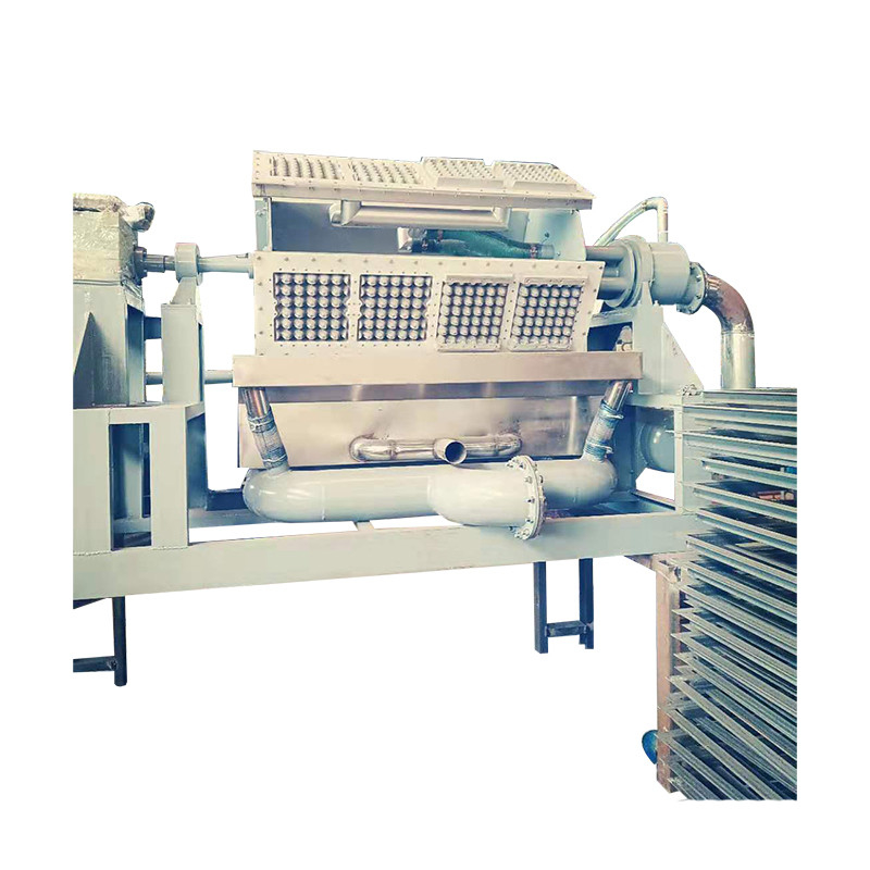 Máquina de fabricación de cartón de huevo amigable con el medio ambiente Máquina de moldeo de pasta de papel para soluciones de embalaje sostenibles
