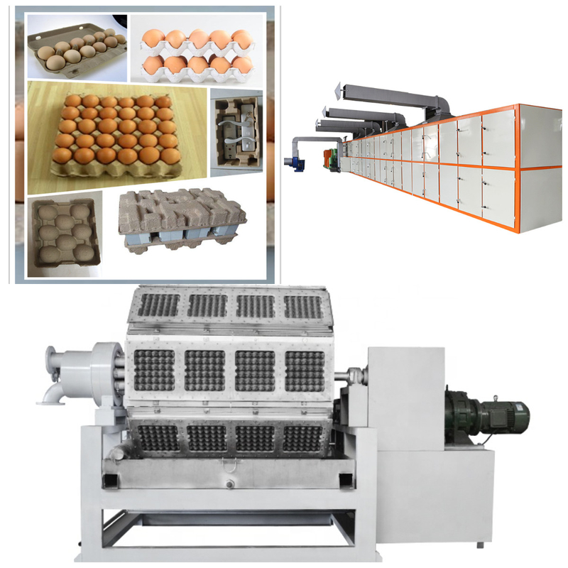 Máquina de fabricación de bandejas de huevo de papel innovadora y duradera para la producción de cartón de huevo de alta eficiencia Máquina de producción de línea de bandejas de huevo