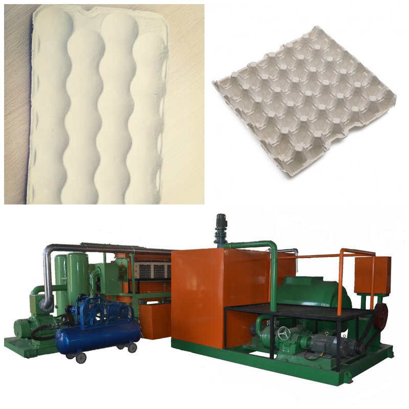 700-5000pcs/H Máquinas de moldeo de celulosa de acero Procesamiento de cartón de huevo Dispositivo de fabricación para la producción sin costuras