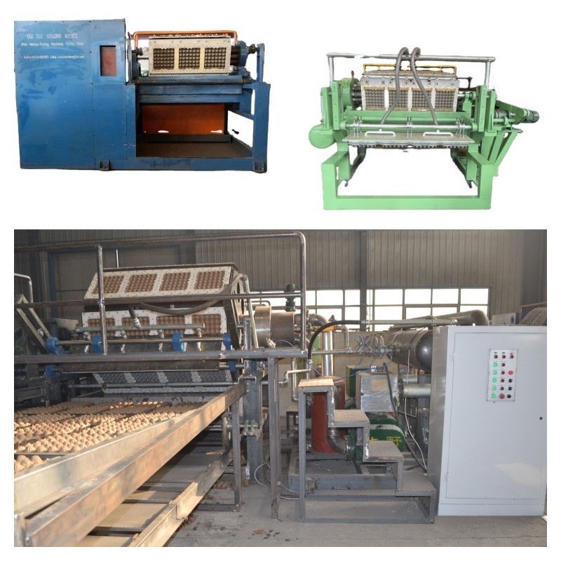 Máquina automática de moldeo de pulpa de papel para bandejas de huevos / Línea de producción de bandejas de huevos con material de papel usado de gran capacidad