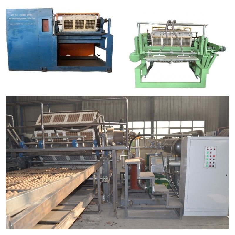 Línea de producción de bandejas de huevos totalmente automatizada con panel de control inteligente y sistema de secado para una mayor productividad Máquina para fabricar bandejas de huevos Capacidad de 700-6000 unidades/h
