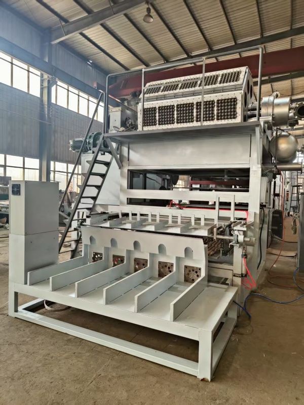 Máquina de moldeado de bandejas de huevo totalmente automática diseñada para un rendimiento estable y una producción constante en la industria del embalaje de huevos