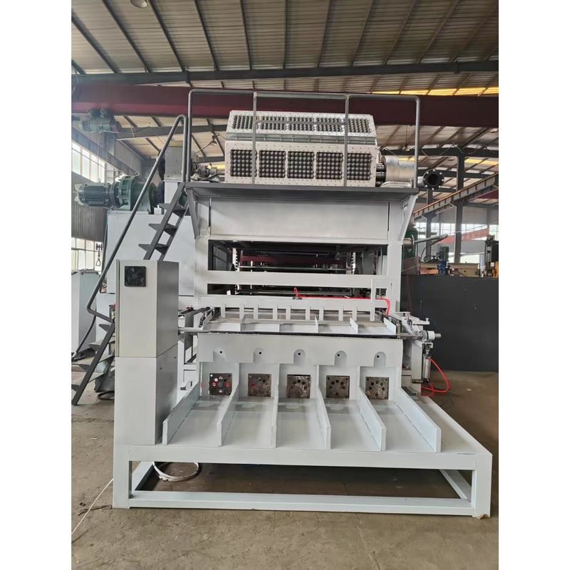 Máquina de moldeo de pulpa de papel de línea de producción totalmente automática 5000pcs/h Capacidad 5 * 8 moldes de moldeo rotativo modelo de forma de bandeja de huevo