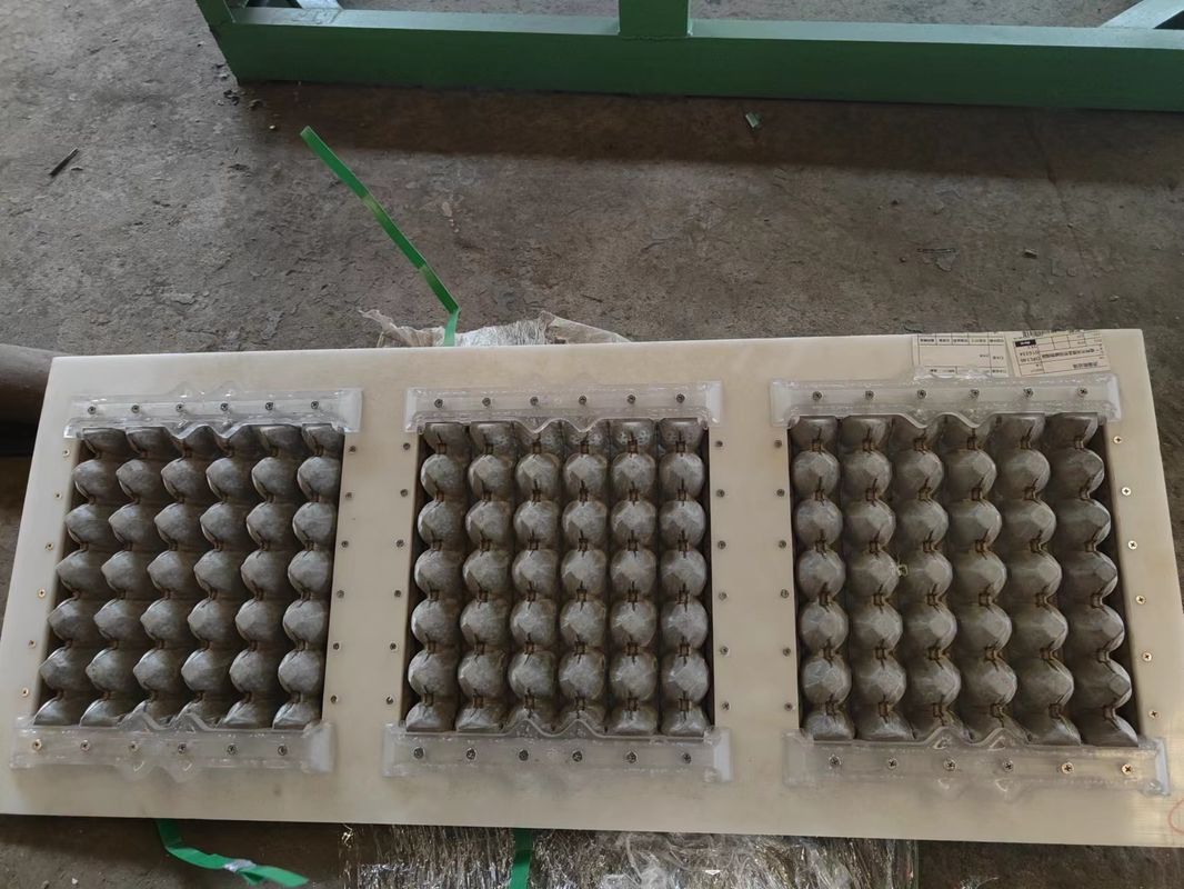 Máquina semiautomática de papel para bandejas de huevos 1000pcs/h Línea de producción automática de cartón de huevos
