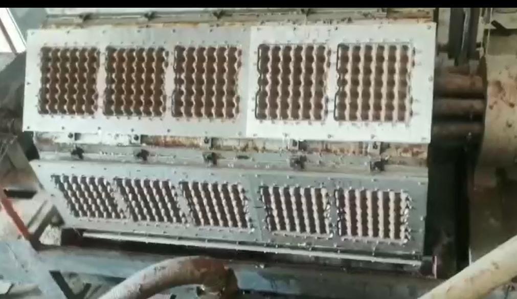Máquina automática de elaboración de bandejas de huevos controlada por PLC 5000-6000pcs/hora Línea de producción de moldeo de pulpa de papel reciclado