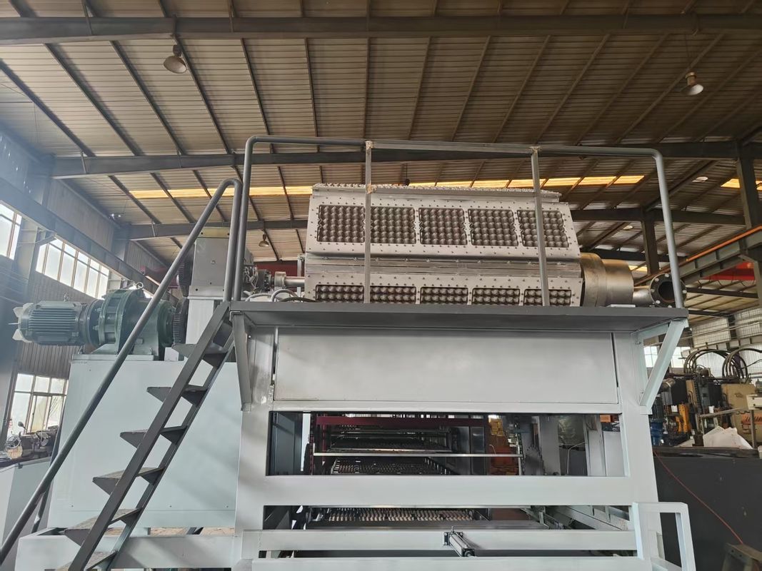 Línea de producción de bandejas de huevos rotativas de 5000 unidades/h que incorpora tecnología automática de apilamiento y secado para una fabricación optimizada, controlada por PLC