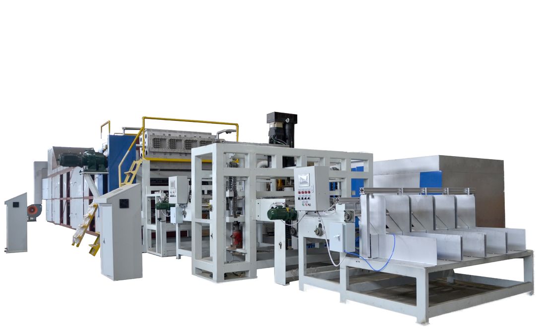 Línea de producción de bandejas de huevos rotativas de 5000 unidades/h que incorpora tecnología automática de apilamiento y secado para una fabricación optimizada, controlada por PLC