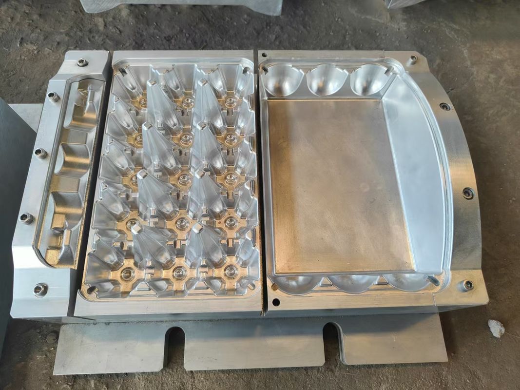 Máquina de producción de bandejas de huevo totalmente automática Sistema de fabricación que combina tecnología de ahorro de energía y construcción duradera para la producción