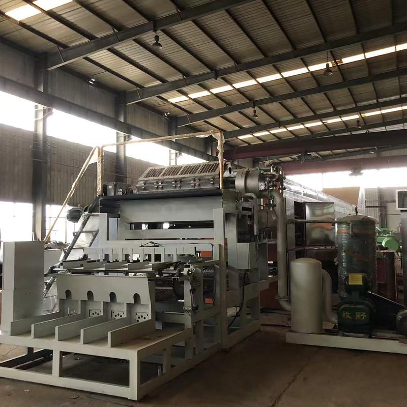 Máquina de fabricación de bandejas de huevo totalmente automática que admite tamaños de molde personalizados y cambio rápido para diversas necesidades de embalaje 2500-3000pcs / h Control PLC