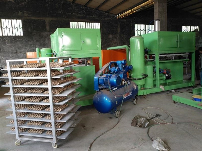 Intercambio del tipo huevo Tray Production Line, máquina de moldear 20kw-80kw de la celulosa