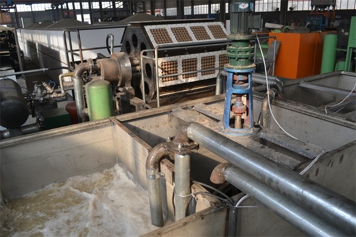Huevo rotatorio Tray Making Machine del papel de pulpa de la máquina de Tray Machine Waste Paper Recycling del huevo