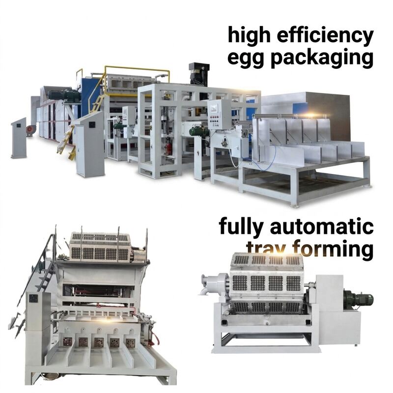 Línea de producción completa de bandejas de huevo de papel rotativo 5000 pcs por hora con pulpa de formación de secado y sistemas de apilamiento automático