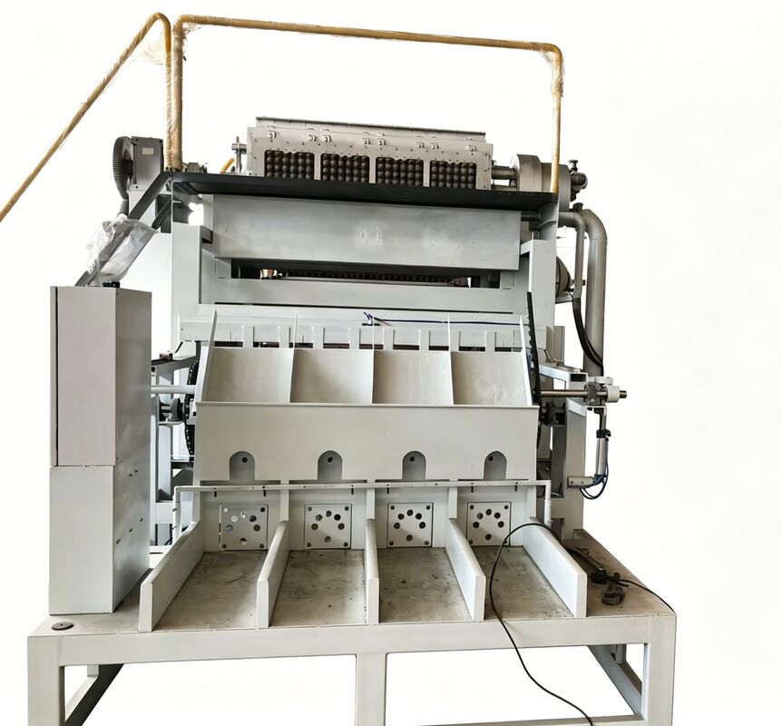 WANYOU WY-F2 Rotary Egg Tray Machine with 2500-3000 pcs/h Capacity Using Recycled Paper Pulp and PLC Automatic Control