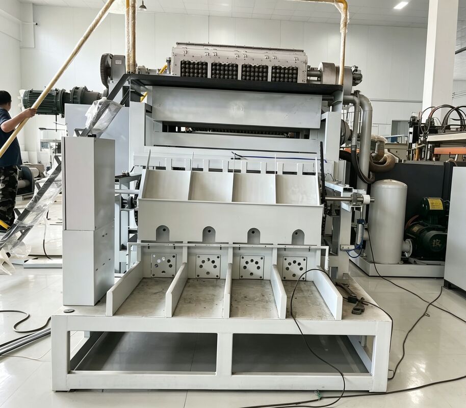 Máquina formadora de bandejas giratorias para huevos WANYOU WY-1 con control automático PLC para producción de 2500-3000 piezas/h utilizando pulpa de papel reciclado