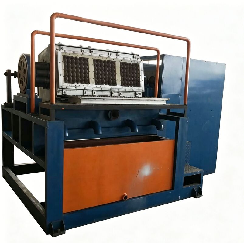 Máquina de fabricación de bandejas de huevo de papel rotativa 3 por 4 línea de producción de molde compacta y fácil de operar Producción de 2000 bandejas de huevo por hora