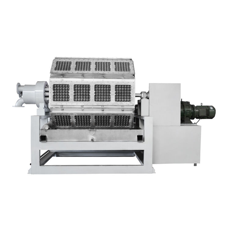 2500-5000pcs/h bandeja de papel de manzana bandeja de huevo máquina de cartón de huevo línea de producción de ahorro de energía controlado por PLC