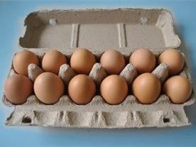 Controlador PLC tipo rotativo para fabricación de cartones de huevos, máquina para cartones de huevos, línea de producción, máquina moldeadora de bandejas de huevos