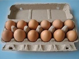 Máquina de fabricación de cartón inútil de la bandeja del huevo de la pulpa para el huevo que empaqueta 350pcs/h-2500pcs/h