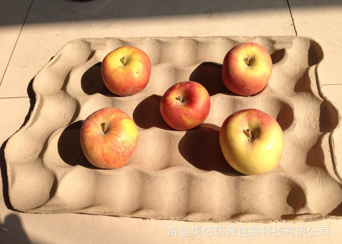 Máquina para hacer bandejas de papel fruta manzana bandejas de huevo máquina de cartón de huevo máquina de moldeo de pulpa máquina con mantenimiento de larga duración