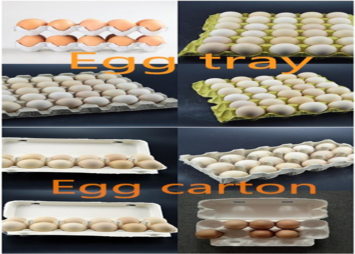 Precio de la máquina para bandejas de huevos de papel reciclado con máquina para bandejas de manzanas de pulpa de 3000 piezas