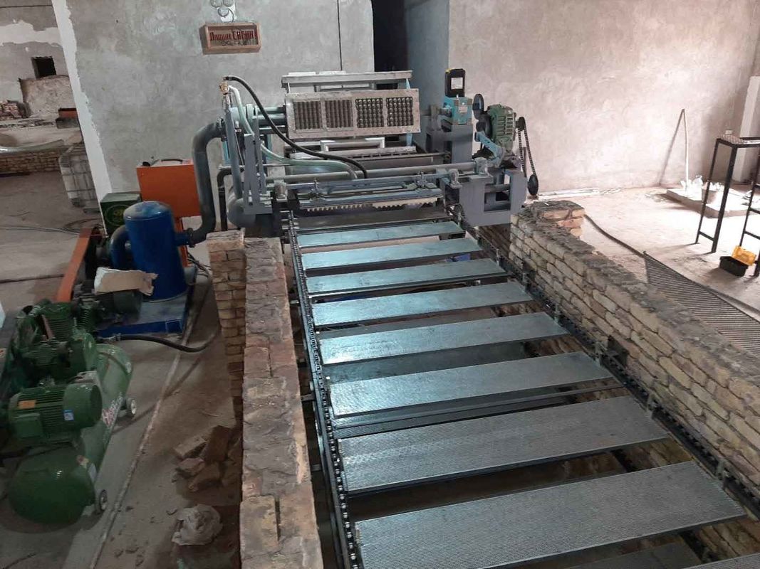 Máquina automática de elaboración de bandejas de huevos controlada por PLC 5000-6000pcs/hora Línea de producción de moldeo de pulpa de papel reciclado