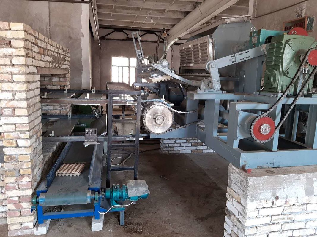 Máquina automática de elaboración de bandejas de huevos controlada por PLC 5000-6000pcs/hora Línea de producción de moldeo de pulpa de papel reciclado