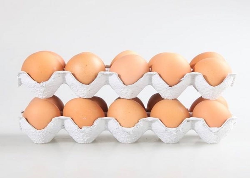 Inicio Negocio Máquina de bandeja de huevo línea de producción de papel máquina de moldeo de pasta de huevo máquina de cartón con válvula de Alemania