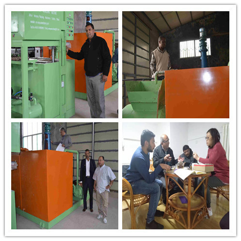 Línea de producción de bandejas de huevos controlada por PLC, 1300 piezas, máquina para bandejas de huevos, 380V 50Hz