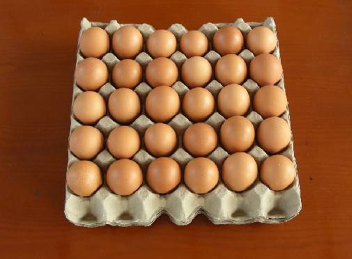 1 bandeja de papel de pequeña capacidad del huevo del molde que hace la máquina arriba y abajo de tipo de formación
