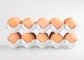 Ahorro de la energía de papel semi automático/automático del alto rendimiento de la máquina de la bandeja del huevo
