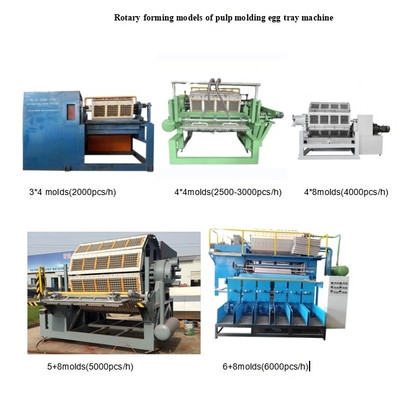 70-150KW Máquina de bandeja de huevo de papel personalizable de gran capacidad para bandeja de huevo bandeja de manzana cartón de huevo con tecnología avanzada y bajo consumo de energía