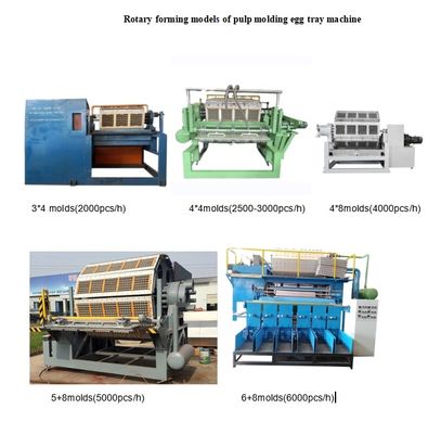 Línea de producción de bandejas de huevos totalmente automatizada con panel de control inteligente y sistema de secado para una mayor productividad Máquina para fabricar bandejas de huevos Capacidad de 700-6000 unidades/h