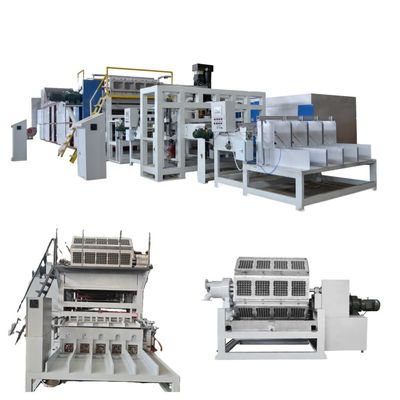 Nueva máquina mayorista WANYOU automática de bandejas de huevos de papel reciclado, máquina de moldeo de pulpa, control PLC, panel de pantalla táctil, motor de cojinete, engranaje