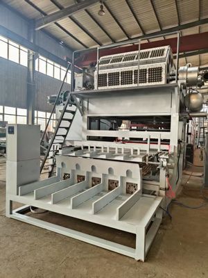 Máquina de moldeado de pulpa de papel/máquina de moldeado de huevo