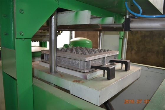 Material modificado para requisitos particulares del acero inoxidable de la máquina 350 Pcs/h de la bandeja del huevo del papel usado del color