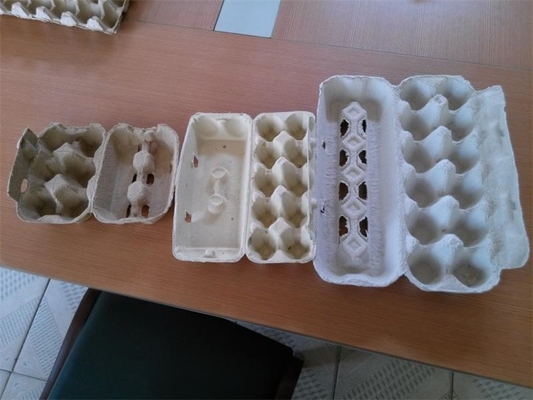 Intercambiando el tipo cadena de producción de la bandeja del huevo máquina de moldear de la pulpa de pequeña capacidad