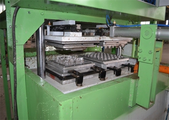 Bandeja semi automática del huevo de la máquina de moldear de la pulpa que hace la máquina controlada por ordenador