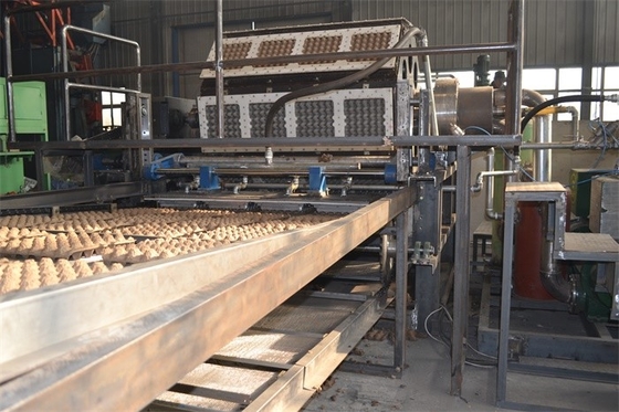 Máquina que moldea de la pulpa del papel usado de la capacidad grande para la fabricación de empaquetado del cartón del huevo