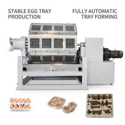 Máquina de fabricación de bandejas de huevo con producción de 10.000 pcs / h, sistema de apilamiento automático e entrada de papel reciclado para una producción eficiente de bandejas de pasta de papel