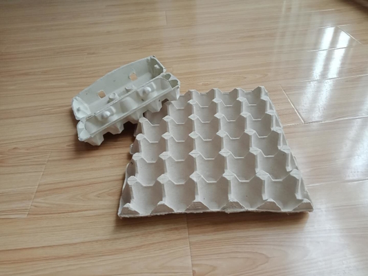 Máquina de fabricación de cartón durable del huevo del papel usado que intercambia el tipo de formación 1000pcs/H
