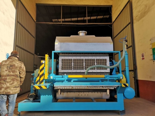 Máquina de formación rotatoria de la bandeja del huevo, máquina de fabricación de cartón del huevo vida de servicio larga