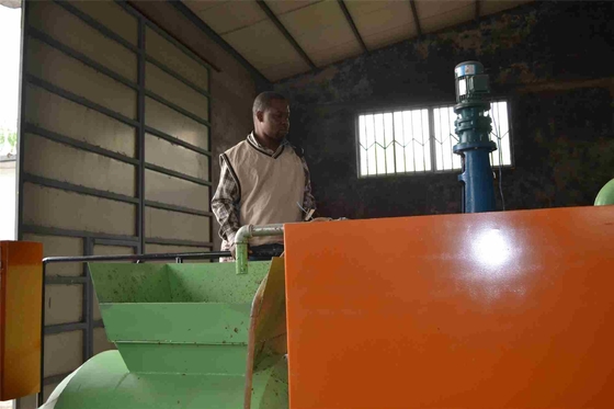 Pequeña granja reciclable de Tray Making Machine For Chicken del huevo del papel usado