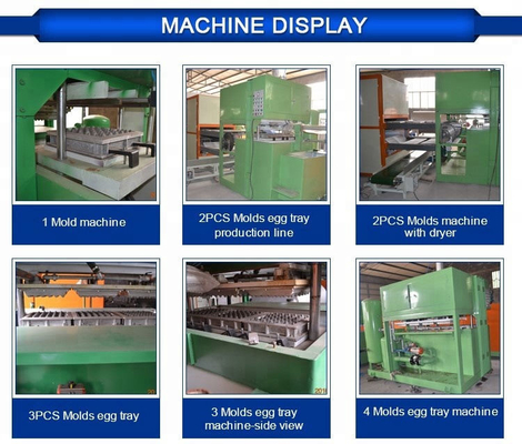 Huevo Tray Mould Pulp Tray Machine con el gabinete del Plc 2 años de garantía