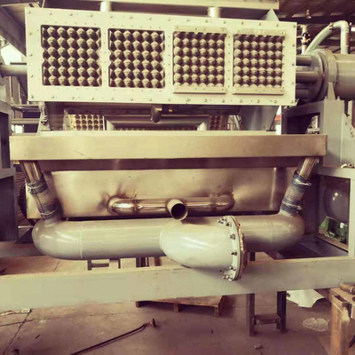 Bandeja automática reciclada del huevo de la celulosa que hace la máquina con el secador de bandeja del huevo